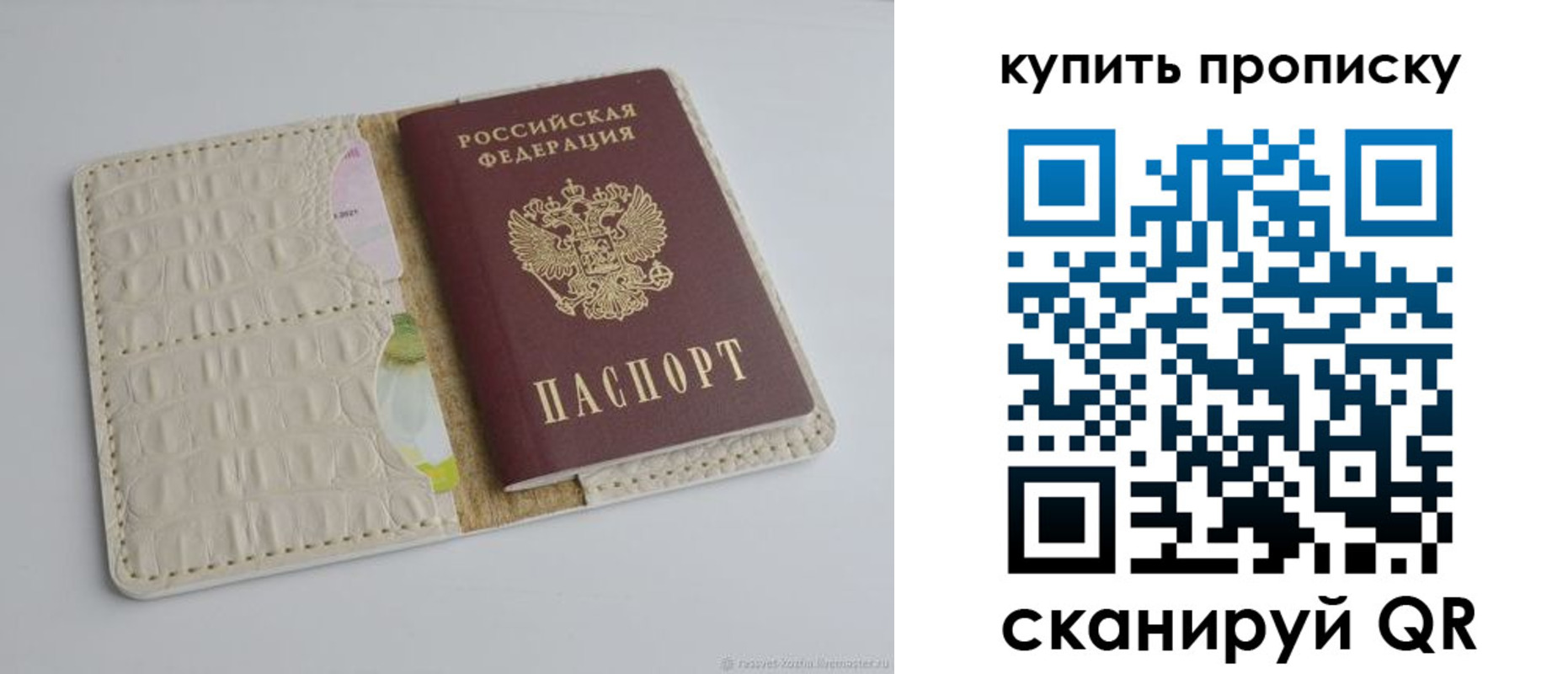 временная регистрация гарантия в Балтийске